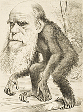 Image: Darwin charactature - Click to enlarge