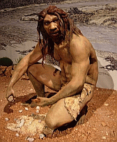 Image: homo heidelbergensis - Click to enlarge